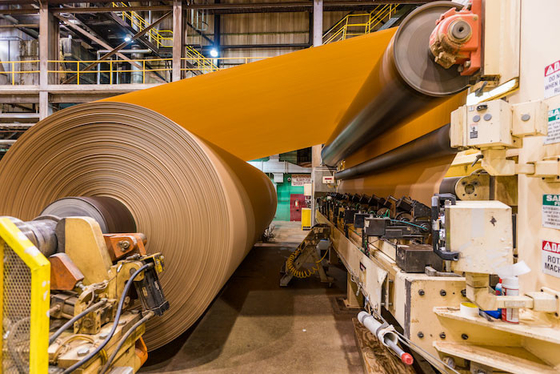300T / D acanaló la máquina de papel de Kraft que estriaba cadena de producción del rollo enorme de 5400 milímetros
